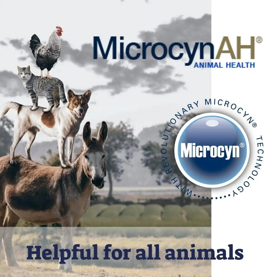 MICROCYNAH - MicrocynAH Anti-Itch Spray Gel with Moisturizing Dimethicone for Dogs 8 Fl.Oz. - The Red Vitamin MX - Remedios Para La Picazón De Perros - {{ shop.shopifyCountryName }}