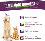 Amber NaturalZ Vibactra Immune Support Herbal Supplement for Dogs 1 Fl.Oz.