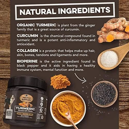 BRUTUS & BARNABY - BRUTUS & BARNABY Turmeric for Dogs 60 Masticables - The Red Vitamin MX - Cuidado De Cadera Y Articulaciones Para Perros - {{ shop.shopifyCountryName }}