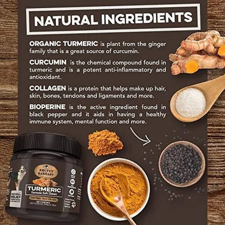 BRUTUS & BARNABY - BRUTUS & BARNABY Turmeric for Dogs 60 Masticables - The Red Vitamin MX - Cuidado De Cadera Y Articulaciones Para Perros - {{ shop.shopifyCountryName }}
