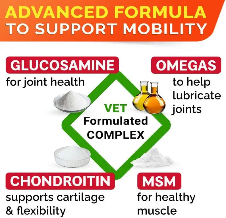 STRELLALAB - STRELLALAB Senior Advanced Glucosamine Chondroitin Joint for Dogs Bacon Flavor 120 Masticables - The Red Vitamin MX - Cuidado De Cadera Y Articulaciones Para Perros - {{ shop.shopifyCountryName }}