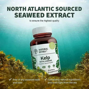 NATURAL NUTRA - Natural Nutra Kelp Iodine 250 Tabletas - The Red Vitamin MX - Suplementos Alimenticios - {{ shop.shopifyCountryName }}