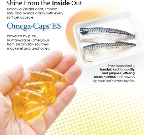 PET HEALTH SOLUTIONS - Pet Health Solutions Omega-Caps Extra Strength for Large Breeds 60 Capsulas Blandas - The Red Vitamin MX - Aceite De Pescado Para Perros - {{ shop.shopifyCountryName }}