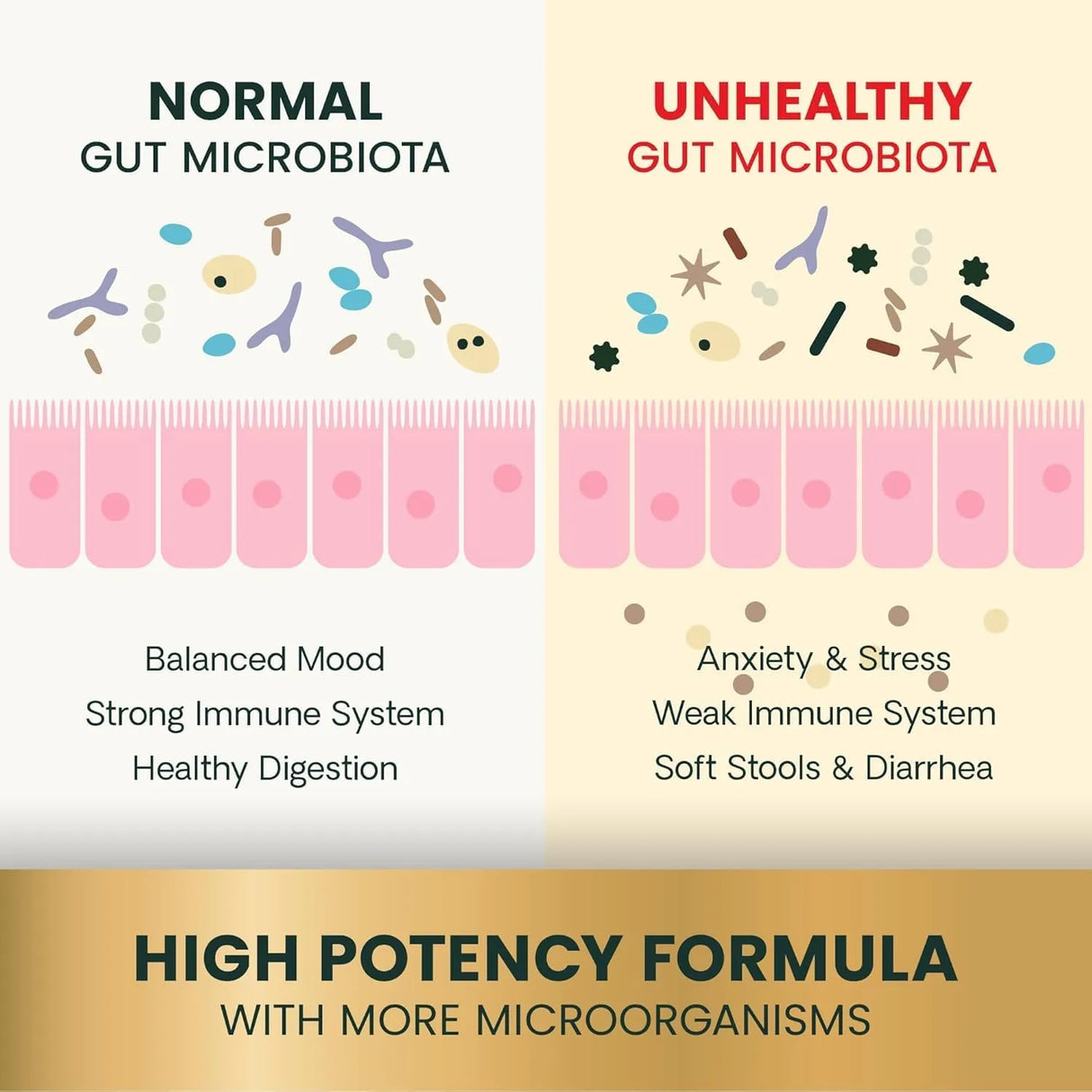 VETRISCIENCE - VetriScience Extra Strength Gut Health Probiotic & Prebiotic 180 Capsulas - The Red Vitamin MX - Probióticos Para Perros - {{ shop.shopifyCountryName }}