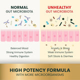 VETRISCIENCE - VetriScience Extra Strength Gut Health Probiotic & Prebiotic 180 Capsulas - The Red Vitamin MX - Probióticos Para Perros - {{ shop.shopifyCountryName }}