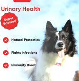 IHEARTDOGS - iHeartDogs Extra Strength Urinary, Bladder, & Kidney Support for Dogs 90 Masticables - The Red Vitamin MX - Salud De Tracto Urinario Para Perros - {{ shop.shopifyCountryName }}