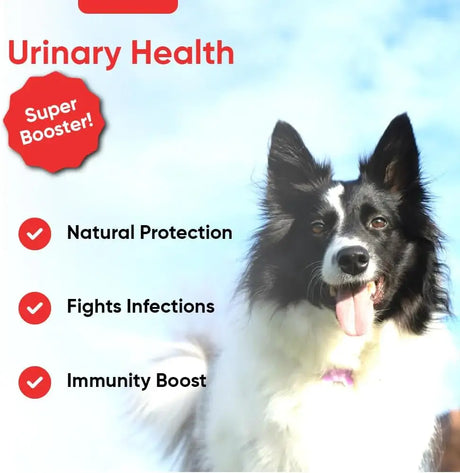 IHEARTDOGS - iHeartDogs Extra Strength Urinary, Bladder, & Kidney Support for Dogs 90 Masticables - The Red Vitamin MX - Salud De Tracto Urinario Para Perros - {{ shop.shopifyCountryName }}