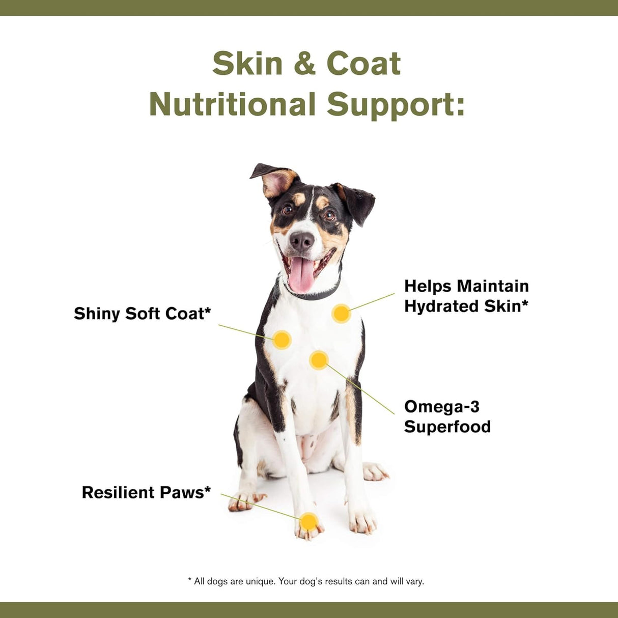 BADLANDS RANCH Skin & Coat Canine Supplement w/Omega-3 Fatty Acids 90Gr.