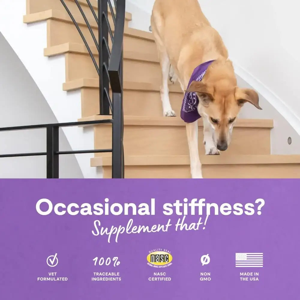 OPEN FARM - Open Farm Hip & Joint Chews Dog Supplement 90 Masticables - The Red Vitamin MX - Cuidado De Cadera Y Articulaciones Para Perros - {{ shop.shopifyCountryName }}