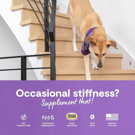 OPEN FARM - Open Farm Hip & Joint Chews Dog Supplement 90 Masticables - The Red Vitamin MX - Cuidado De Cadera Y Articulaciones Para Perros - {{ shop.shopifyCountryName }}