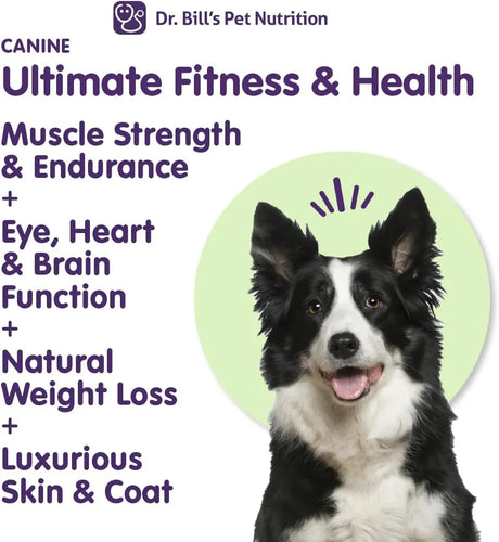 DR. BILL'S - Dr. Bill’s Canine Ultimate Fitness & Health Vitamins for Dogs 340Gr. - The Red Vitamin MX - Multivitamínicos Para Perros - {{ shop.shopifyCountryName }}