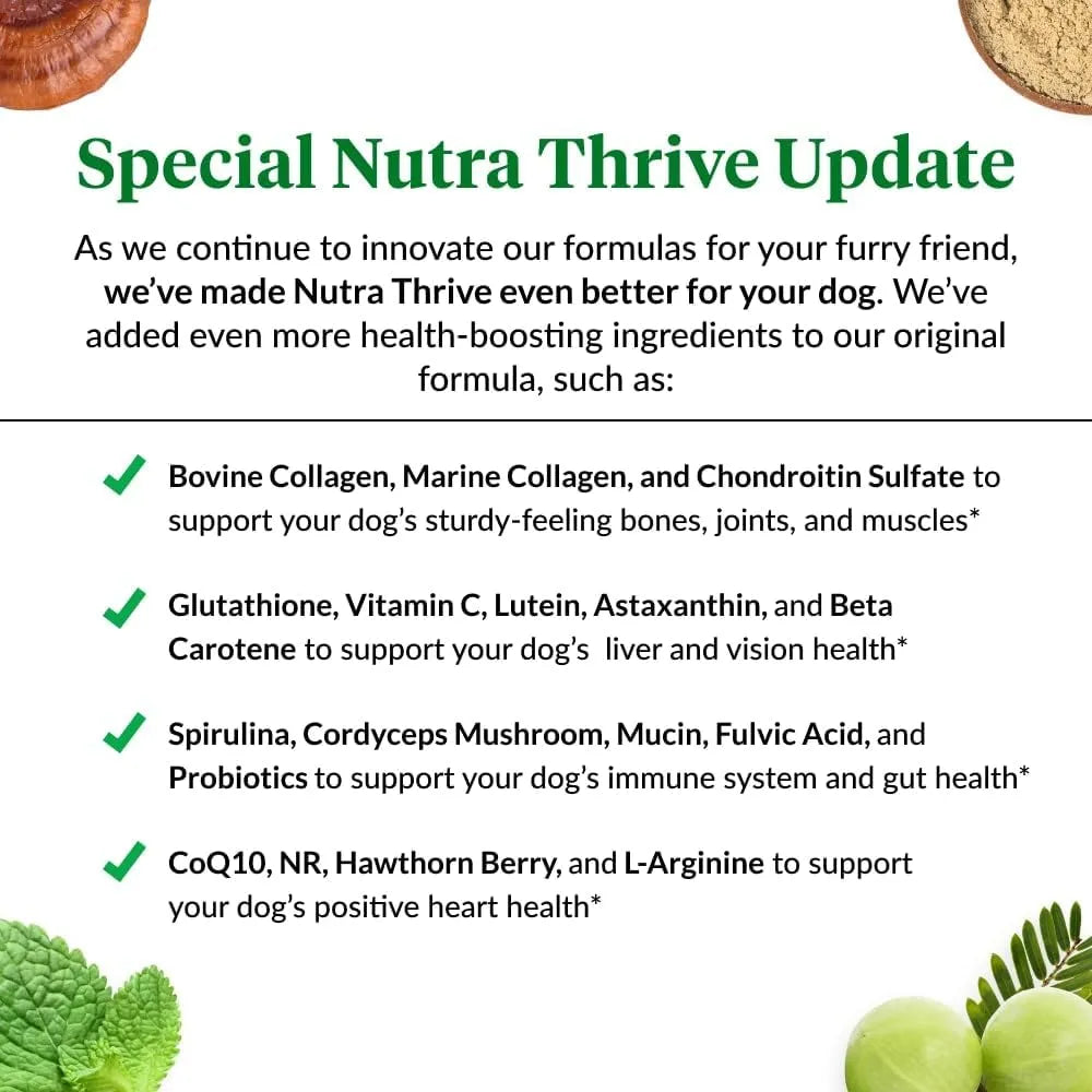 ULTIMATE PET - Ultimate Pet Nutrition Nutra Thrive Canine 40-in-1 Nutritional Powder 30 Servicios 93Gr. - The Red Vitamin MX - Multivitamínicos Para Perros - {{ shop.shopifyCountryName }}