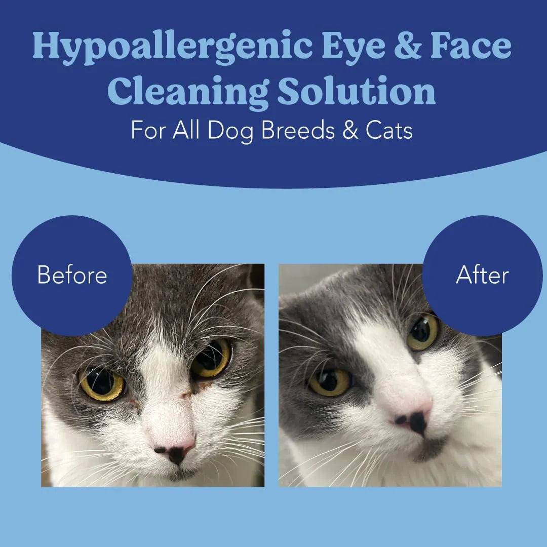 ANGELS' EYES - ANGELS' EYES Gentle Tear Stain & Pet Eye Wipes for All Dogs & Cats 100 Toallitas - The Red Vitamin MX - Cuidado De Los Ojos De Los Perros - {{ shop.shopifyCountryName }}