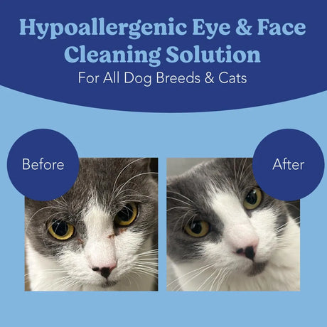 ANGELS' EYES - ANGELS' EYES Gentle Tear Stain & Pet Eye Wipes for All Dogs & Cats 100 Toallitas - The Red Vitamin MX - Cuidado De Los Ojos De Los Perros - {{ shop.shopifyCountryName }}
