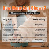 PETRAUGNIAN - PetrAugnian Allergy & Itch Relief for Dogs 100 Masticables - The Red Vitamin MX - Remedios Para La Picazón De Perros - {{ shop.shopifyCountryName }}