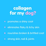 Taily Premium Grass-fed Collagen for Dogs Skin and Coat 4 Fl.Oz.