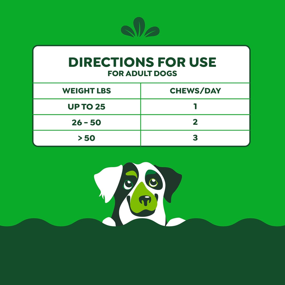 Greenies Supplements Hip and Joint Supplements for Dogs Chicken Flavor 30 Masticables