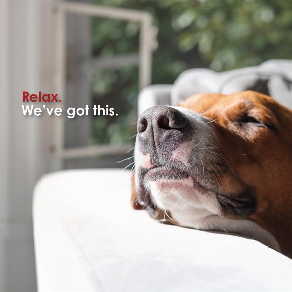 Mela-Vet Melatonin Calming Soft Chews for Dogs 120 Masticables
