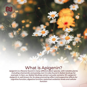 NOOTROPICS DEPOT - Nootropics Depot Apigenin 50Mg. 180 Capsulas - The Red Vitamin MX - Suplementos Alimenticios - {{ shop.shopifyCountryName }}