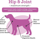 DR. JOSEPH'S - Dr. Joseph's VetPro Complete Dog Hip and Joint Chicken Flavored 60 Masticables - The Red Vitamin MX - Cuidado De Cadera Y Articulaciones Para Perros - {{ shop.shopifyCountryName }}