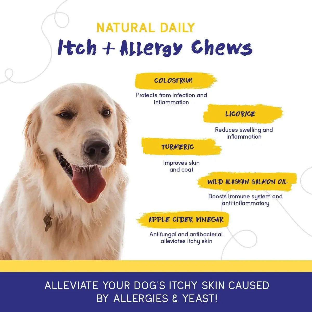 PUPGRADE - PupGrade Itch & Allergy Chew Supplement for Dogs 60 Masticables - The Red Vitamin MX - Remedios Para La Picazón De Perros - {{ shop.shopifyCountryName }}