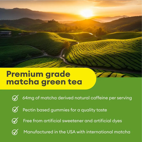 VITAPATCH - VitaPatch Matcha Green Tea Extract Gummy 60 Gomitas - The Red Vitamin MX - Suplementos Alimenticios - {{ shop.shopifyCountryName }}