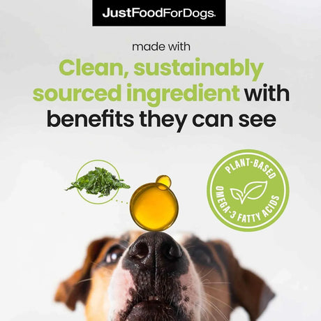 JUSTFOODFORDOGS - JustFoodForDogs Omega Plus Oil Omega-3 Supplement for Dogs 8 Fl.Oz. - The Red Vitamin MX - Aceite De Pescado Para Perros - {{ shop.shopifyCountryName }}