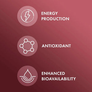 DR MERCOLA - Dr. Mercola Blood Boost with Iron 30 Capsulas - The Red Vitamin MX - Suplementos Alimenticios - {{ shop.shopifyCountryName }}