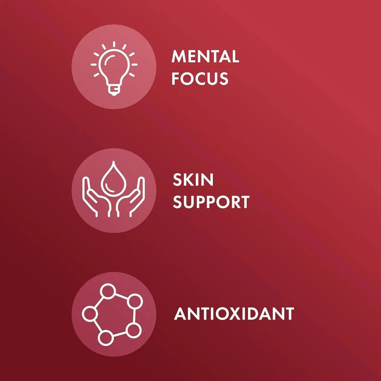 DR MERCOLA - Dr. Mercola Organic Blood Pressure Support 90 Capsulas - The Red Vitamin MX - Suplementos Alimenticios - {{ shop.shopifyCountryName }}