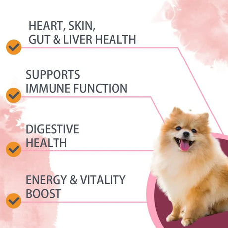 NUTRIDOG - Nutridog Multivitamin Chews for Dogs 30 Masticables - The Red Vitamin MX - Multivitamínicos Para Perros - {{ shop.shopifyCountryName }}