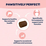 READY PET GO - Ready Pet Go! Hip and Joint Chews for Dogs 90 Masticables - The Red Vitamin MX - Cuidado De Cadera Y Articulaciones Para Perros - {{ shop.shopifyCountryName }}