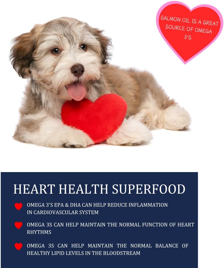 KODIAK NATURALS - KODIAK NATURALS Wild Alaskan Salmon Oil Formula for Dogs & Cats 32 Fl.Oz. - The Red Vitamin MX - Aceite De Pescado Para Perros - {{ shop.shopifyCountryName }}