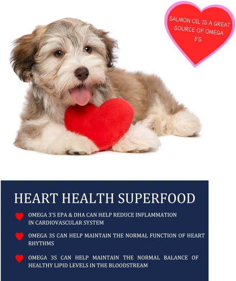 KODIAK NATURALS - KODIAK NATURALS Wild Alaskan Salmon Oil Formula for Dogs & Cats 32 Fl.Oz. - The Red Vitamin MX - Aceite De Pescado Para Perros - {{ shop.shopifyCountryName }}