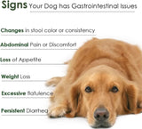 PROFLORA - Proflora Probiotics for Dogs 30 Paquetes - The Red Vitamin MX - Probióticos Para Perros - {{ shop.shopifyCountryName }}