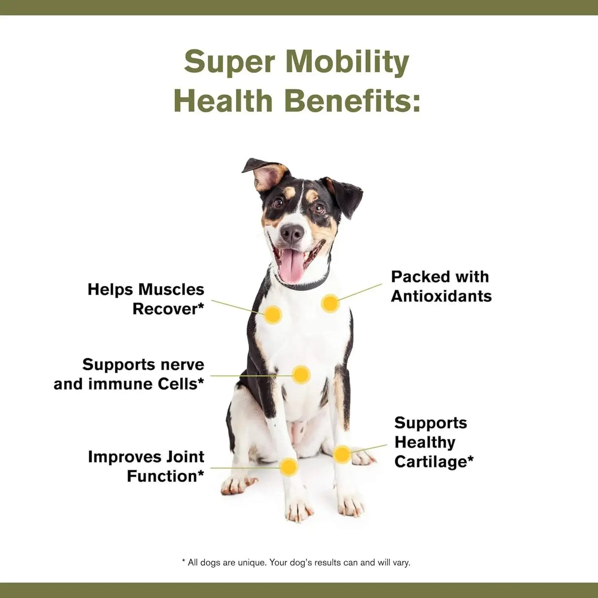 BADLANDS RANCH - BADLANDS RANCH Super Mobility Canine Supplement 30 Servicios 90Gr. - The Red Vitamin MX - Cuidado De Cadera Y Articulaciones Para Perros - {{ shop.shopifyCountryName }}