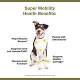 BADLANDS RANCH - BADLANDS RANCH Super Mobility Canine Supplement 30 Servicios 90Gr. - The Red Vitamin MX - Cuidado De Cadera Y Articulaciones Para Perros - {{ shop.shopifyCountryName }}