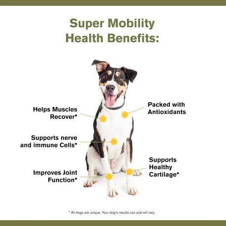 BADLANDS RANCH - BADLANDS RANCH Super Mobility Canine Supplement 30 Servicios 90Gr. - The Red Vitamin MX - Cuidado De Cadera Y Articulaciones Para Perros - {{ shop.shopifyCountryName }}