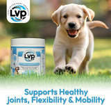 Leap Pharmaceuticals Pet Hip & Joint Supplements 90 Masticables