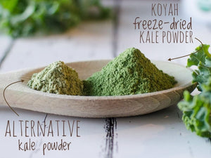 KOYAH Organic USA Grown Kale Powder 30 Servicios 69Gr.