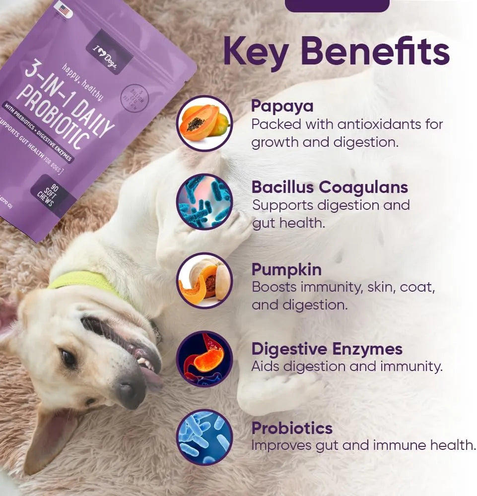 IHEARTDOGS - iHeartDogs 3-in-1 Probiotic for Dogs 90 Masticables - The Red Vitamin MX - Probióticos Para Perros - {{ shop.shopifyCountryName }}