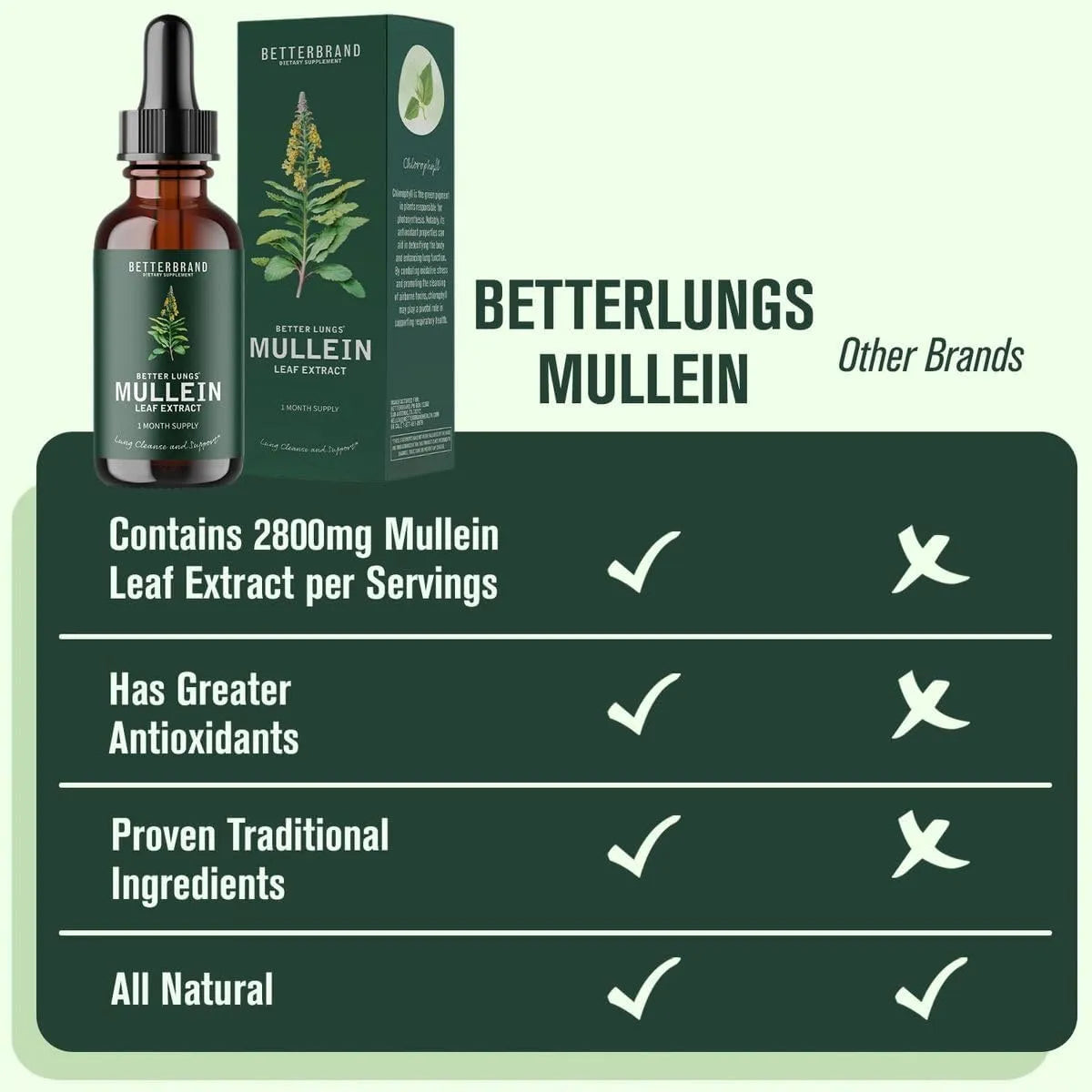 BETTERBRAND - Betterbrand BetterLungs Mullein Leaf Extract Support Lung Cleanse 60Ml. - The Red Vitamin MX - Suplementos Alimenticios - {{ shop.shopifyCountryName }}