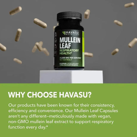 HAVASU NUTRITION - HAVASU NUTRITION Mullein Leaf Extract 180 Capsulas - The Red Vitamin MX - Suplementos Alimenticios - {{ shop.shopifyCountryName }}