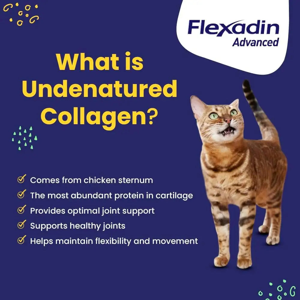VETOQUINOL - Vetoquinol Flexadin Advanced Dog Hip and Joint 30 Masticables - The Red Vitamin MX - Cuidado De Cadera Y Articulaciones Para Perros - {{ shop.shopifyCountryName }}