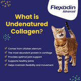 VETOQUINOL - Vetoquinol Flexadin Advanced Dog Hip and Joint 30 Masticables - The Red Vitamin MX - Cuidado De Cadera Y Articulaciones Para Perros - {{ shop.shopifyCountryName }}