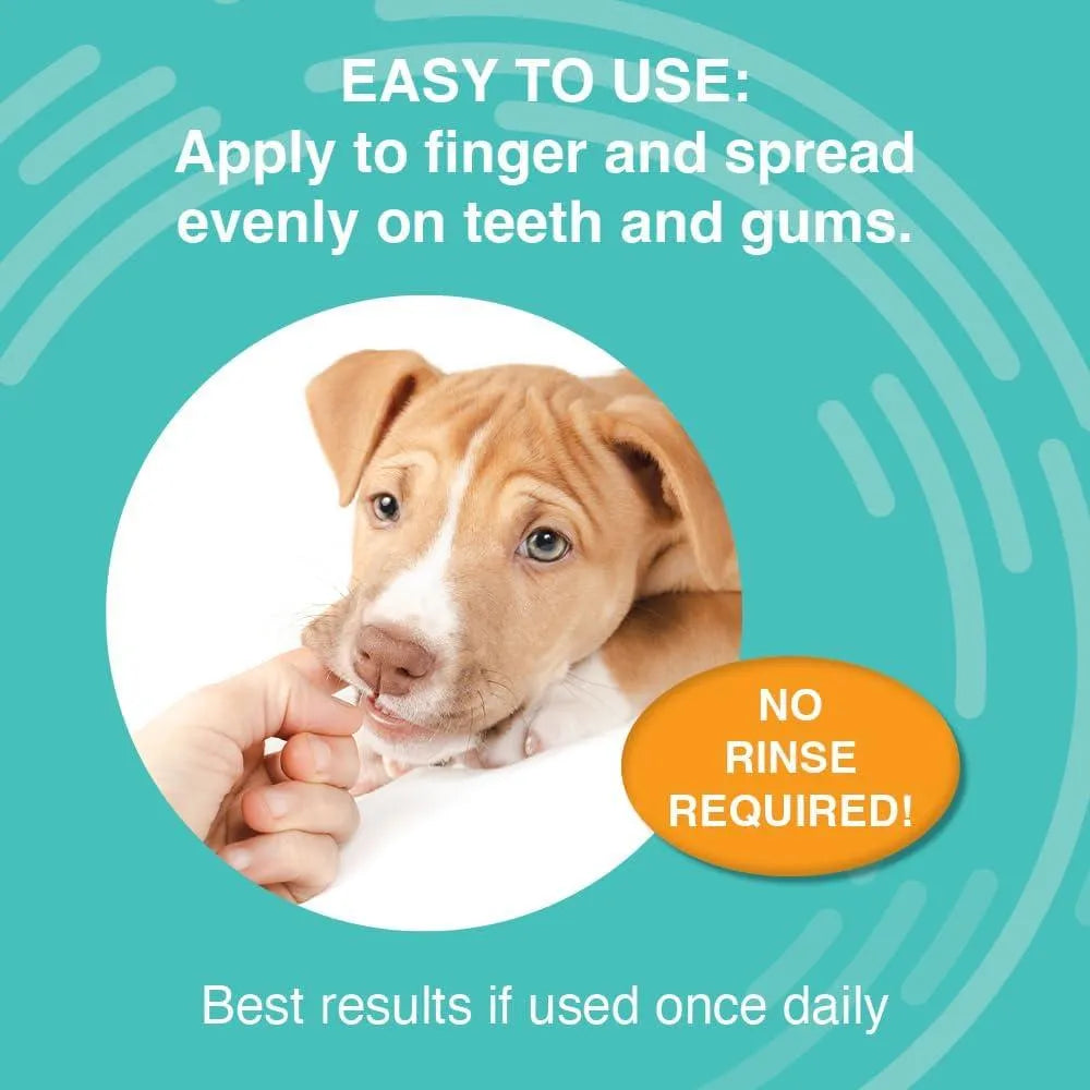 NOOTIE - Nootie Medicated Dental Gel for Dogs 4 Oz. - The Red Vitamin MX - Cuidado Dental Para Perros - {{ shop.shopifyCountryName }}