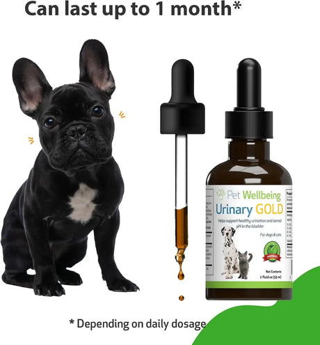 PET WELLBEING - Pet Wellbeing Urinary Gold for Dogs 2 Fl.Oz. - The Red Vitamin MX - Salud De Tracto Urinario Para Perros - {{ shop.shopifyCountryName }}