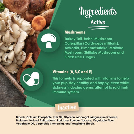 PET HEALTH SOLUTIONS - Pet Health Solutions Mycogen for Dogs Vitamins with 8 Types of Mushrooms 60 Masticables - The Red Vitamin MX - Suplementos Herbales Para Perros - {{ shop.shopifyCountryName }}