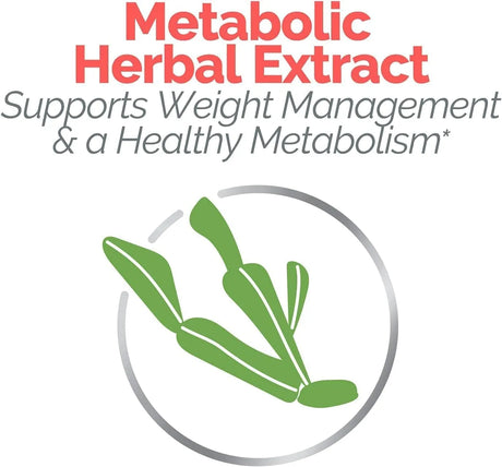 ESTROVEN - Estroven Weight Management for Menopause Relief 60 Capsulas - The Red Vitamin MX - Suplementos Alimenticios - {{ shop.shopifyCountryName }}