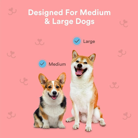 JASPER - Jasper 360º Dog Toothbrush 4-Pack Clear - The Red Vitamin MX - Cuidado Dental Para Perros - {{ shop.shopifyCountryName }}