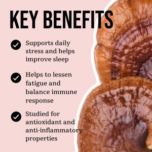 NORTH SPORE - North Spore Organic Reishi Mushroom Tincture 2 Fl.Oz. - The Red Vitamin MX - Suplementos Alimenticios - {{ shop.shopifyCountryName }}